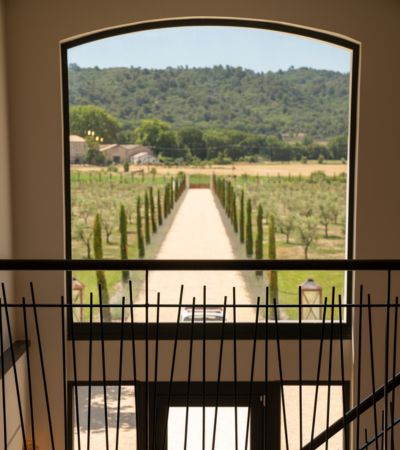 Mas du Mazet vue allée
